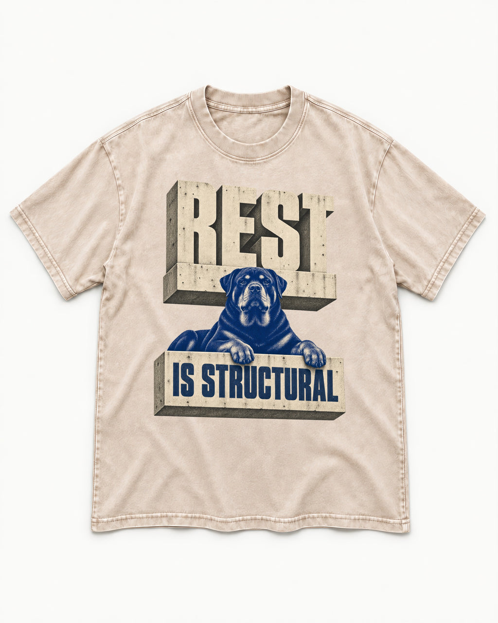 Rottweiler Rest Is Structural Architectural Type Graphic Washed Tee in Apricot, flat lay product photo