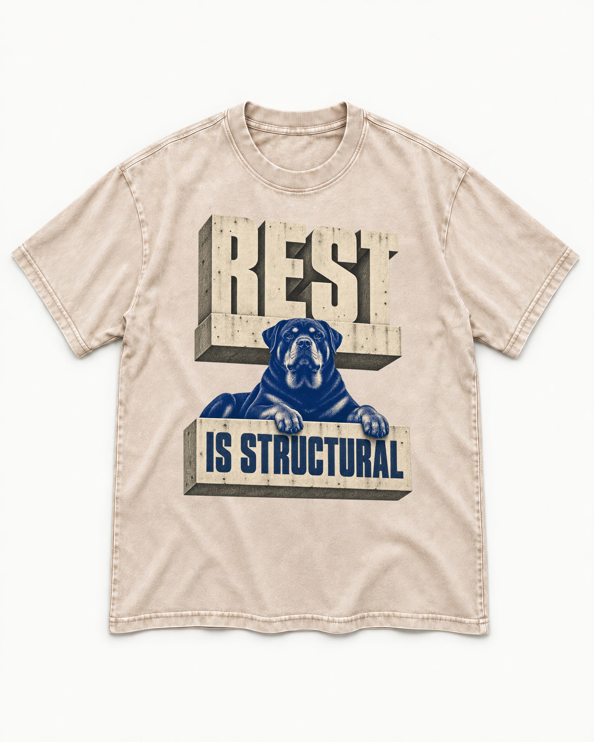 Rottweiler Rest Is Structural Architectural Type Graphic Washed Tee in Apricot, flat lay product photo