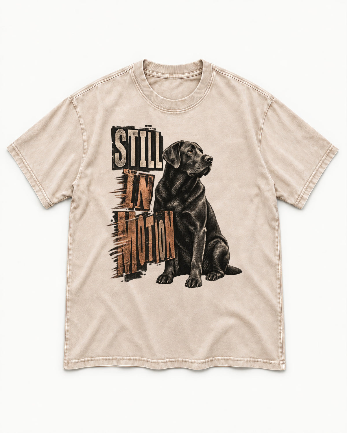 Labrador Retriever Still in Motion Seated Graphic Washed Tee in Apricot, flat lay product photo