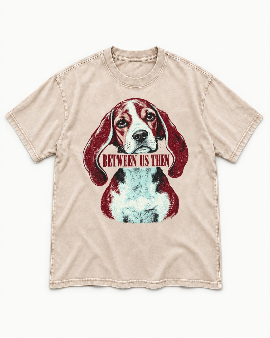 Beagle Between Us Then Washed Tee in Apricot, flat lay product photo