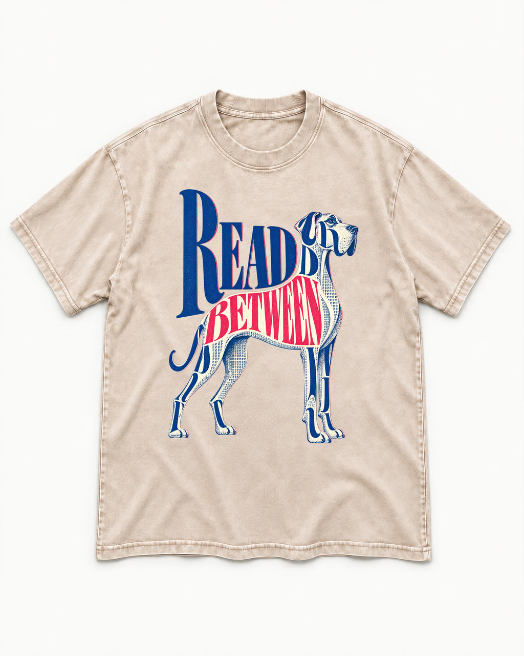 Read Between the Lines Great Dane Washed Tee in Apricot, flat lay product photo