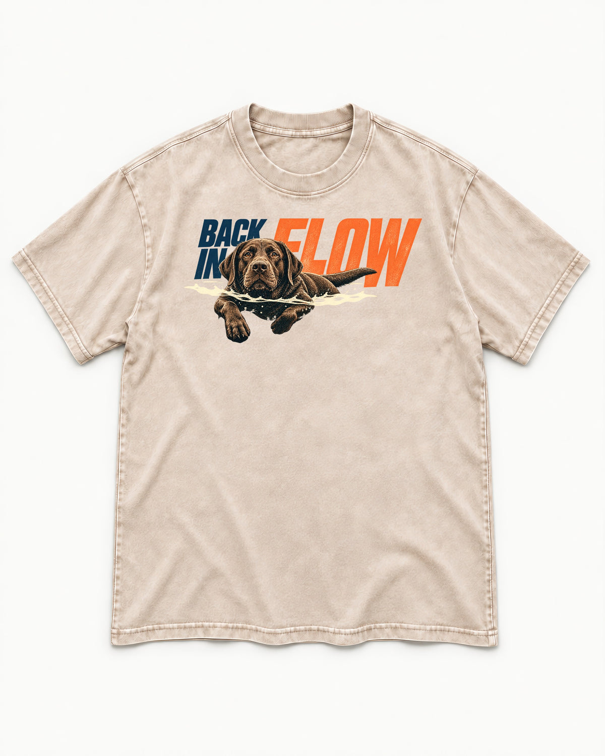 Labrador Retriever Back in Flow Washed Tee in Apricot, flat lay product photo