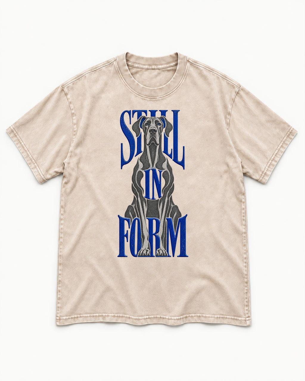 Still in Form Great Dane Washed Tee in Apricot, flat lay product photo
