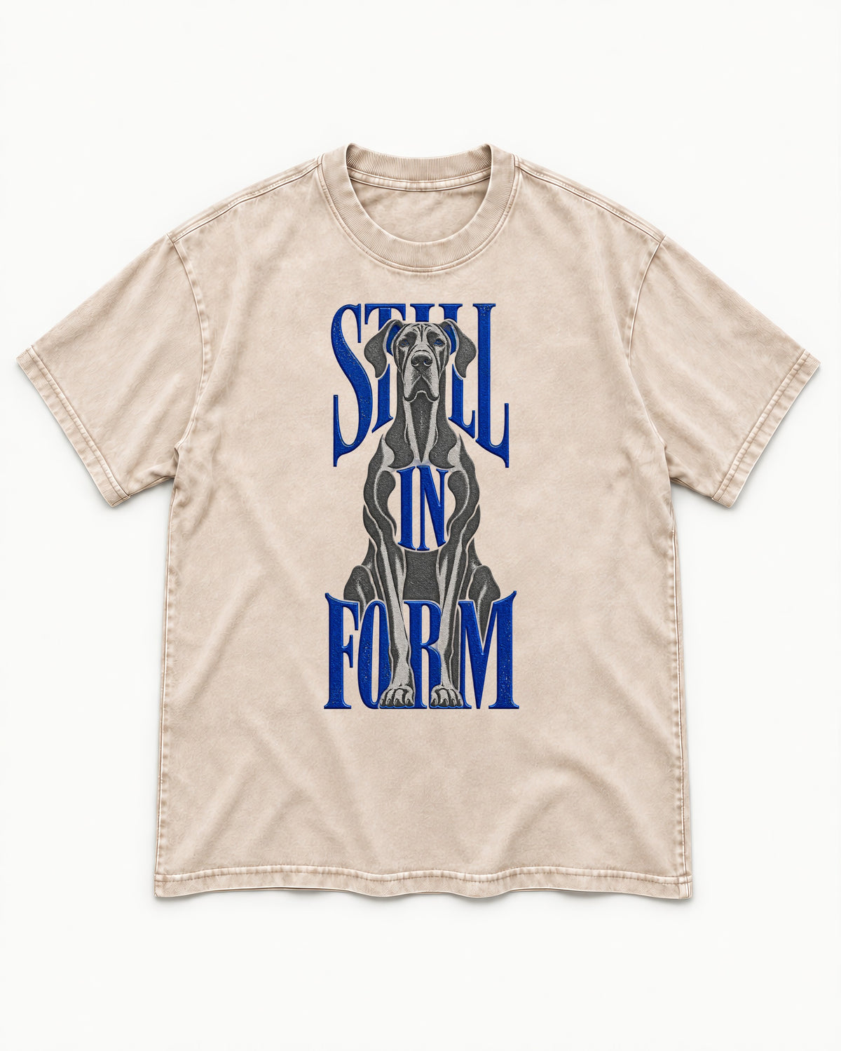 Still in Form Great Dane Washed Tee in Apricot, flat lay product photo