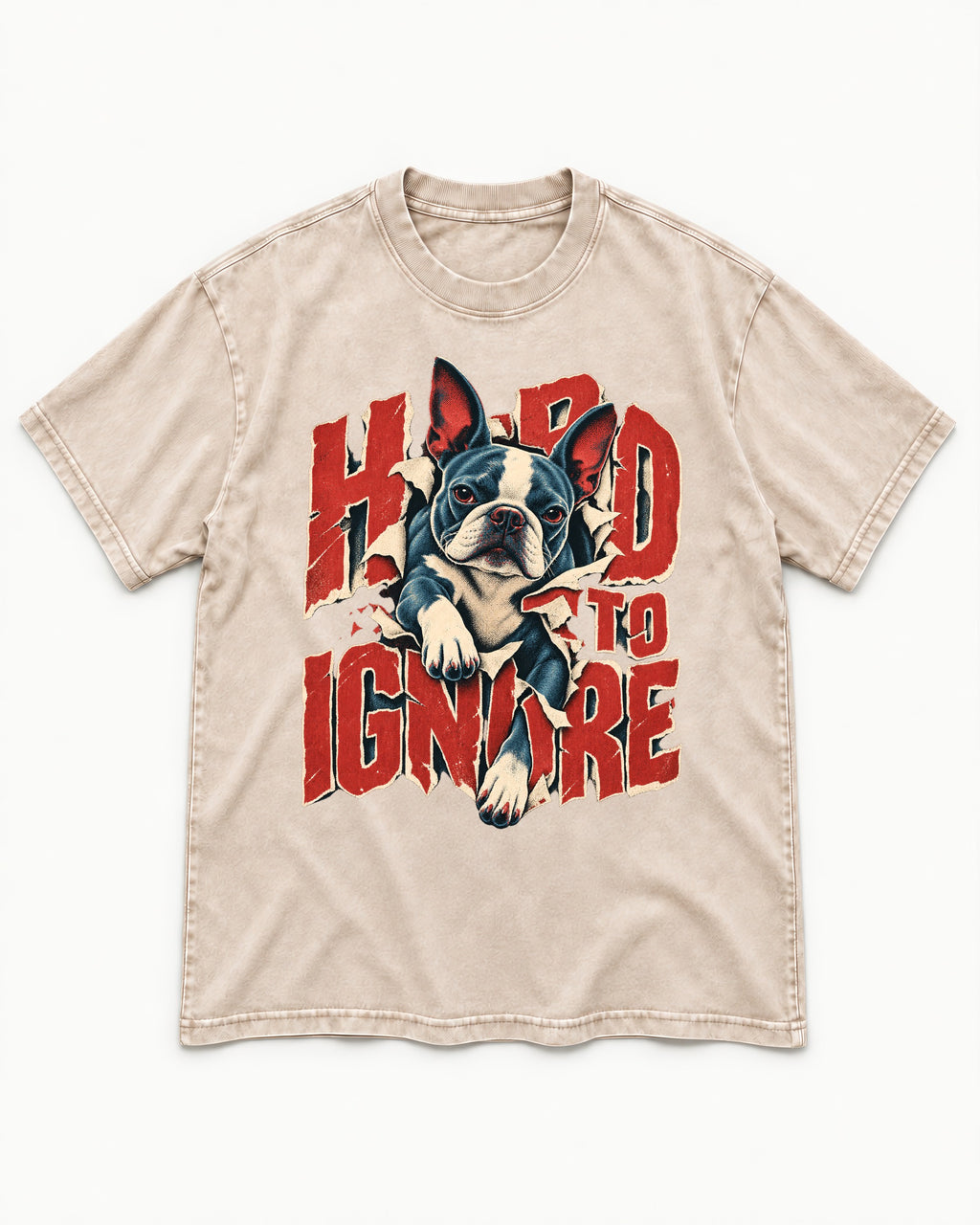 Hard to Ignore Boston Terrier Graphic Washed Tee in Apricot, flat lay product photo