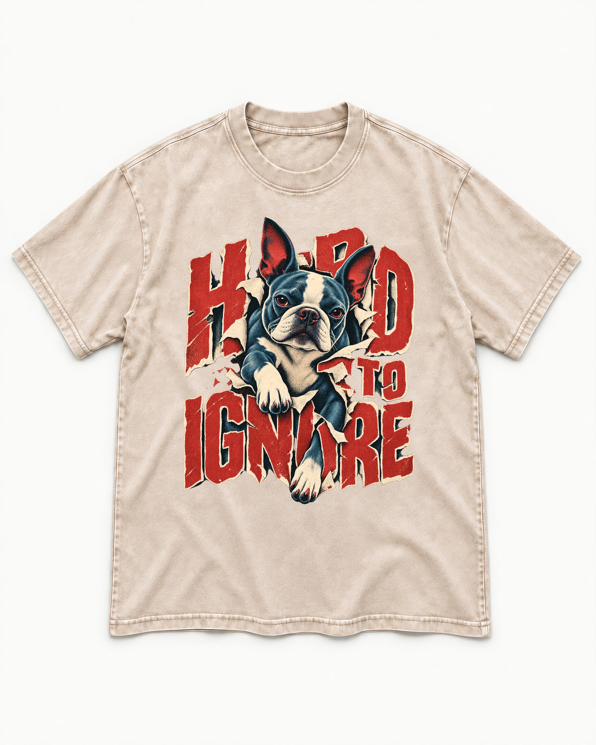 Hard to Ignore Boston Terrier Graphic Washed Tee in Apricot, flat lay product photo
