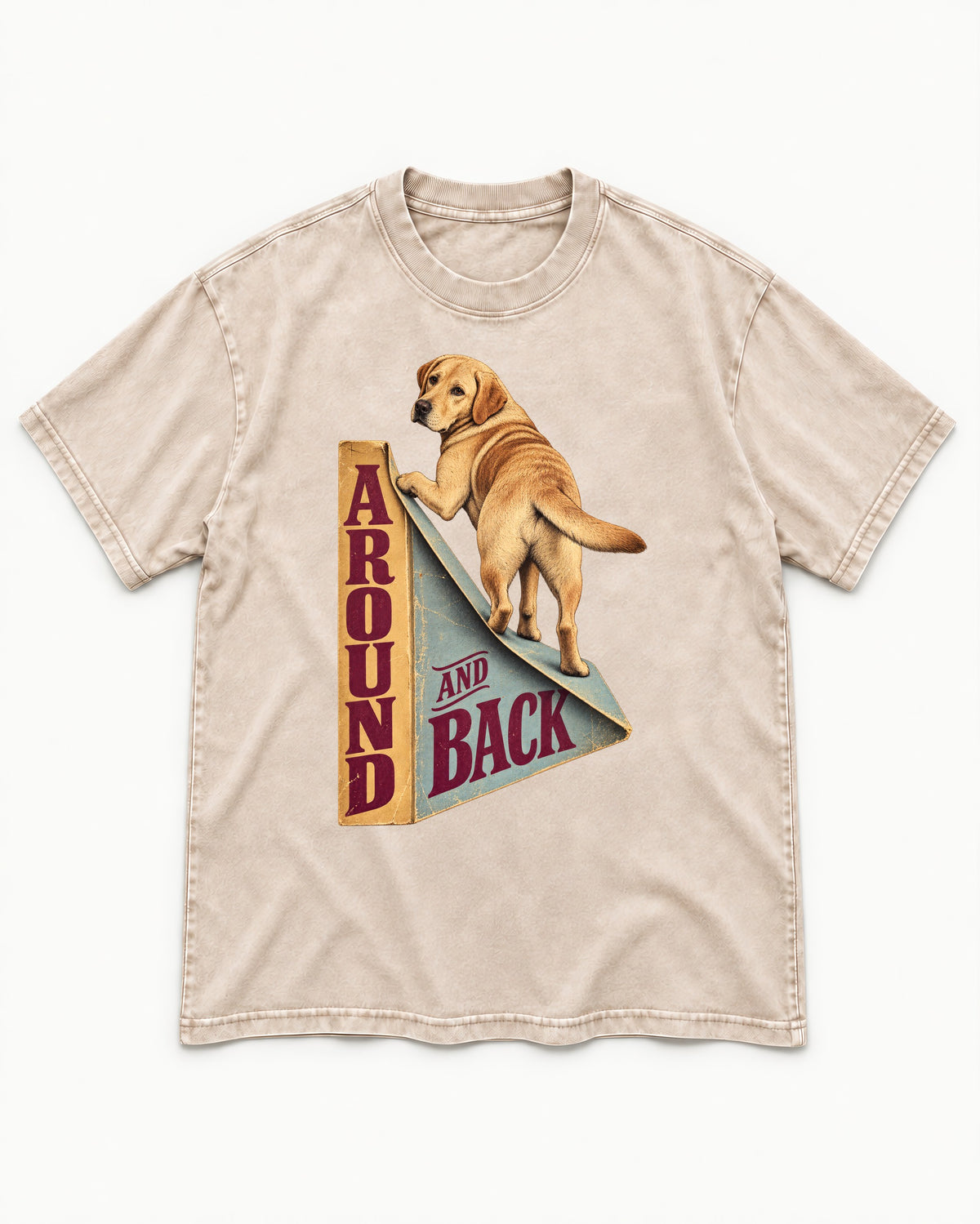 Labrador Retriever Around and Back Washed Tee in Apricot, flat lay product photo