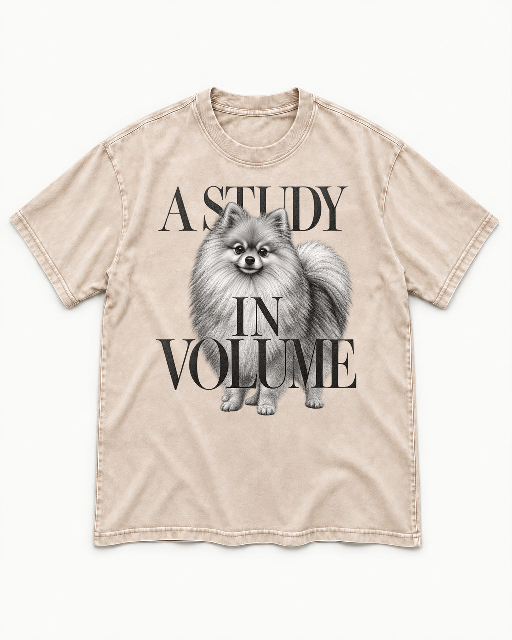 Pomeranian Study in Volume Washed Tee in Apricot, flat lay product photo