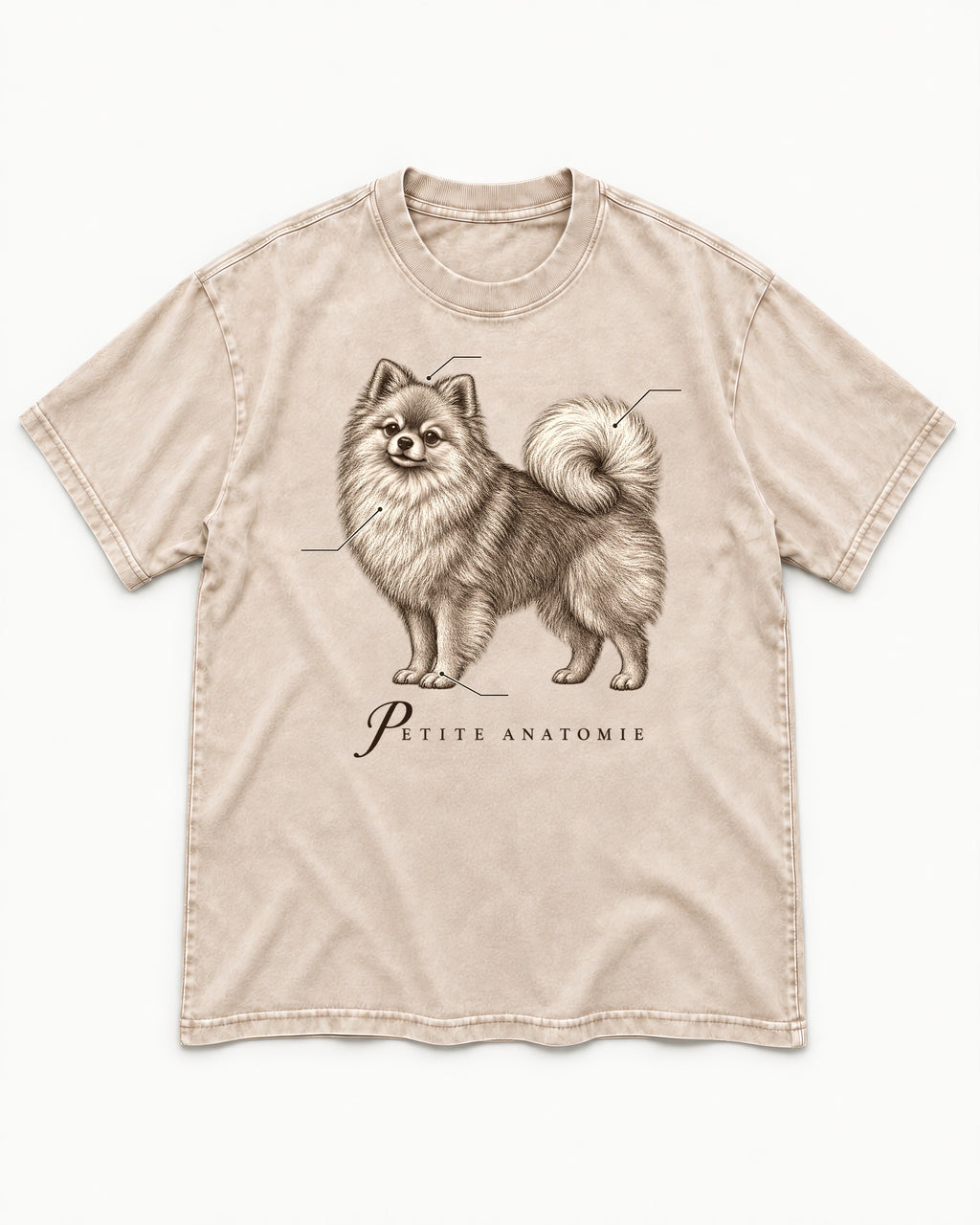 Pomeranian Petite Anatomie Washed Tee in Apricot, flat lay product photo