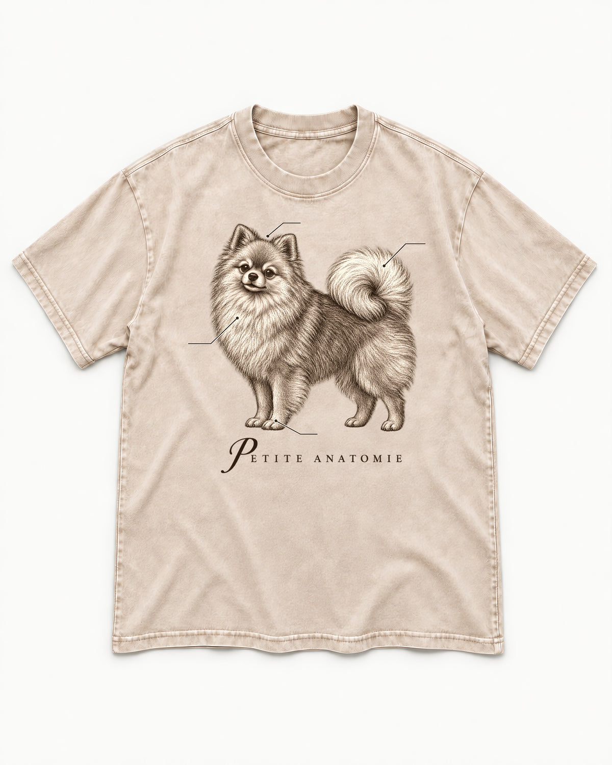 Pomeranian Petite Anatomie Washed Tee in Apricot, flat lay product photo