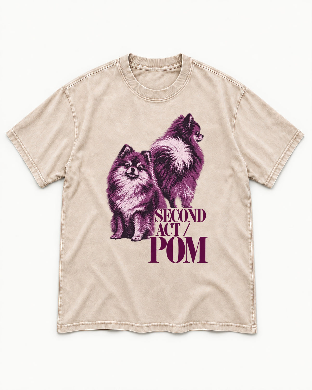 Second Act Pomeranian Washed Tee in Apricot, flat lay product photo