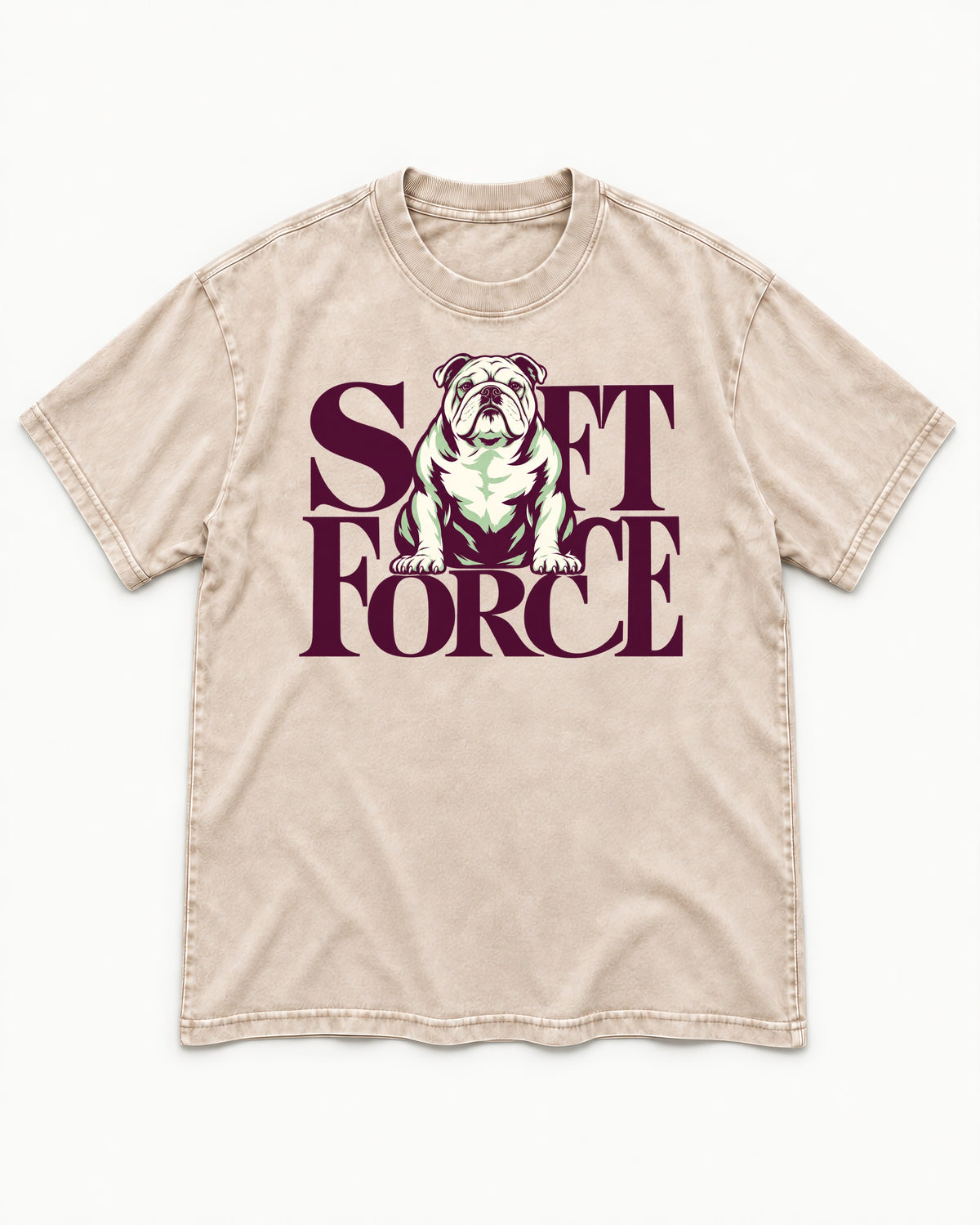 Set Force English Bulldog Washed Tee in Apricot, flat lay product photo
