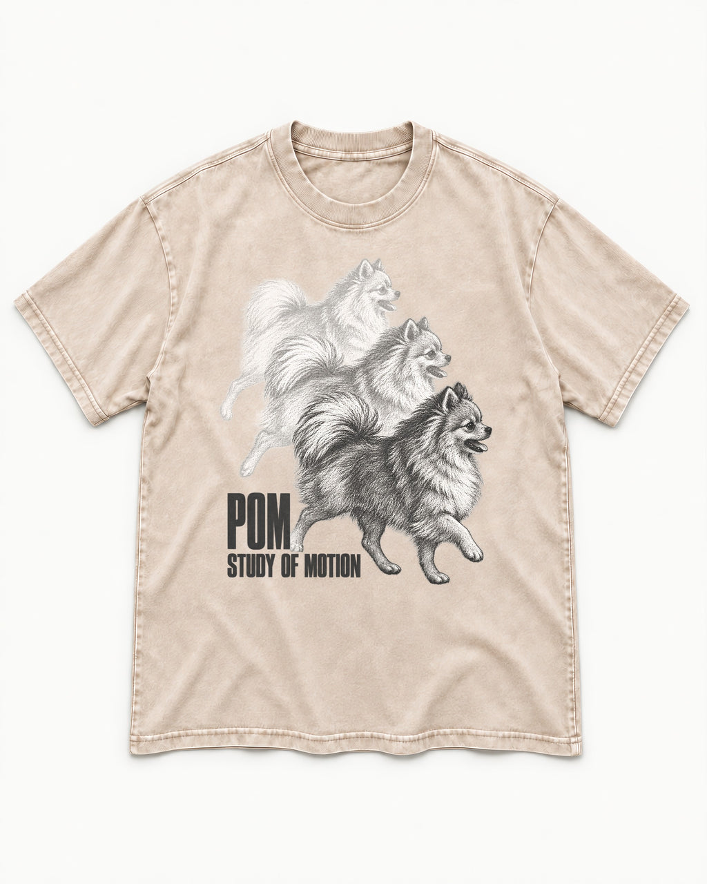 Pomeranian Study of Motion Washed Tee in Apricot, flat lay product photo