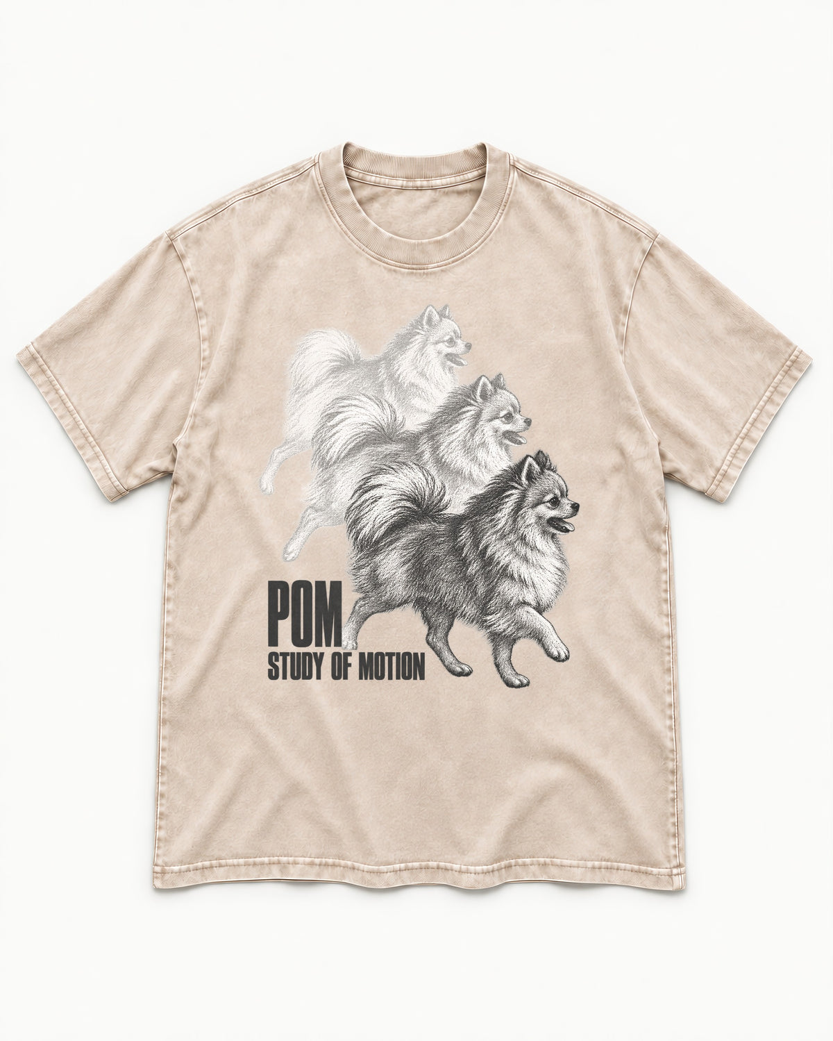 Pomeranian Study of Motion Washed Tee in Apricot, flat lay product photo