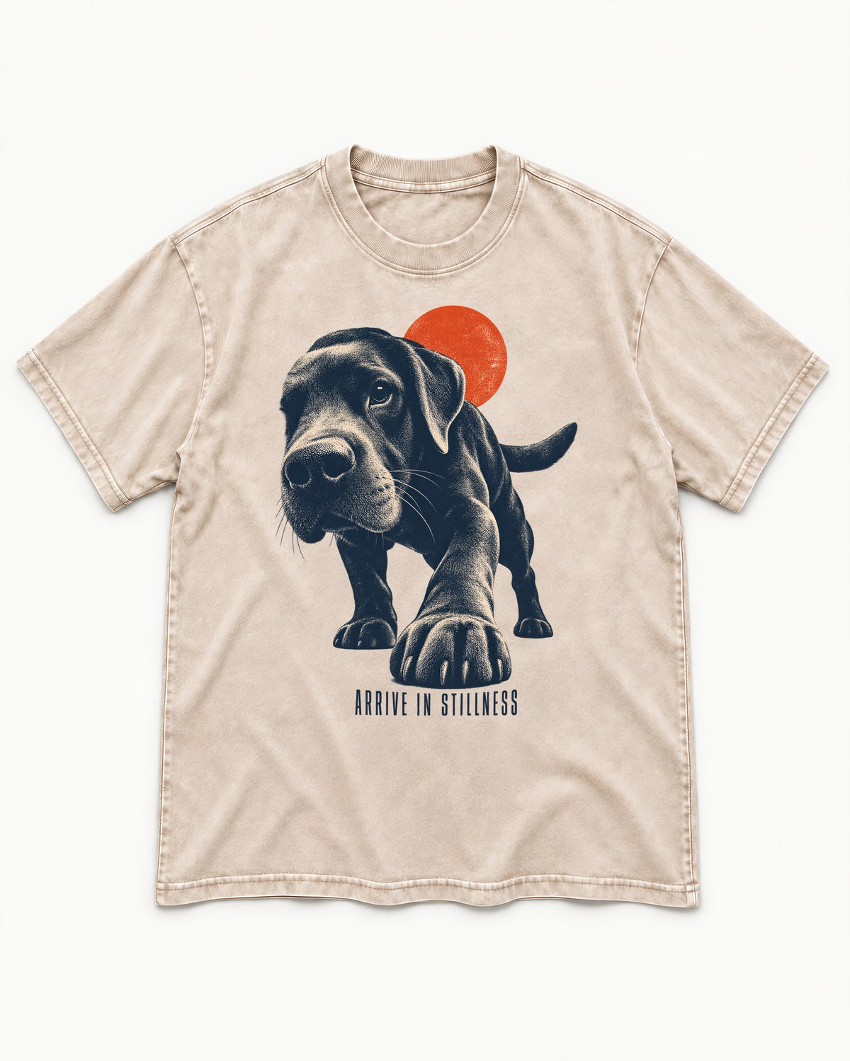 Labrador Retriever Arrive in Stillness Washed Tee in Apricot, flat lay product photo