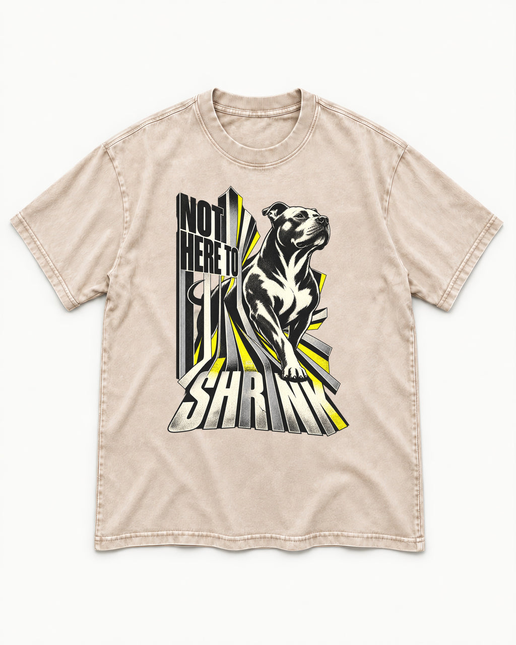 Not Here to Share Pitbull Washed Tee in Apricot, flat lay product photo