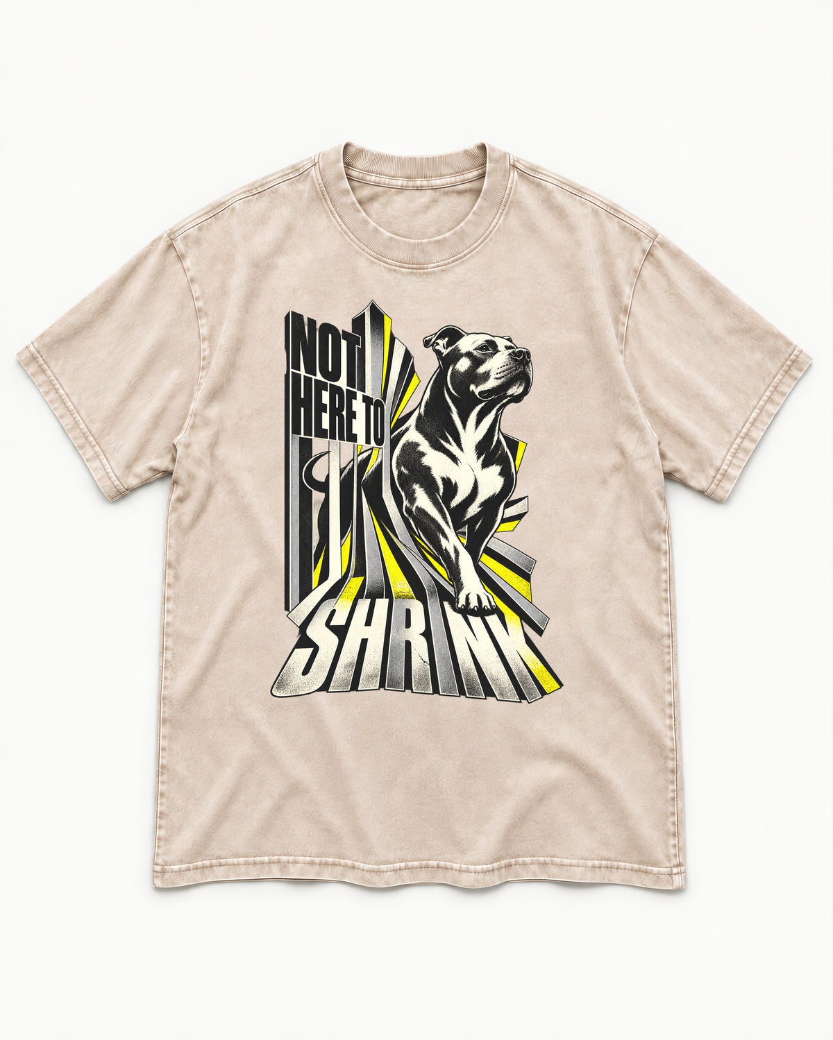 Not Here to Share Pitbull Washed Tee in Apricot, flat lay product photo