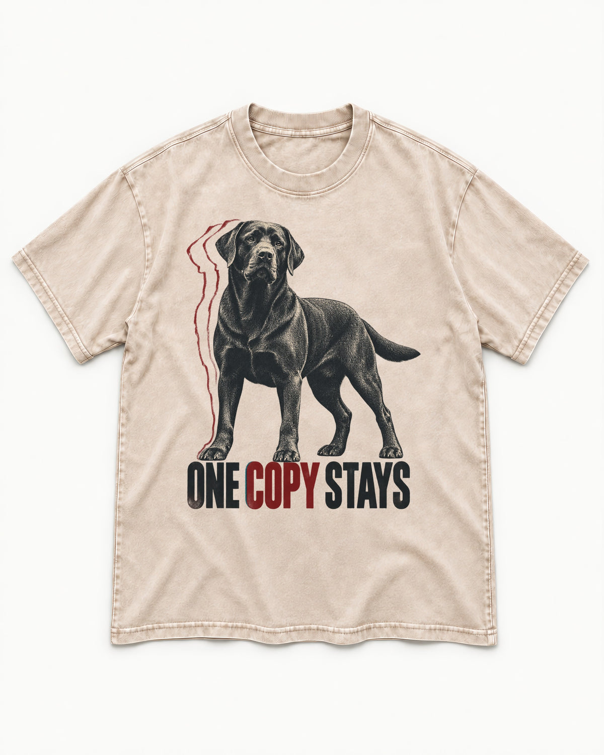 One Copy Stays Labrador Retriever Washed Tee in Apricot, flat lay product photo