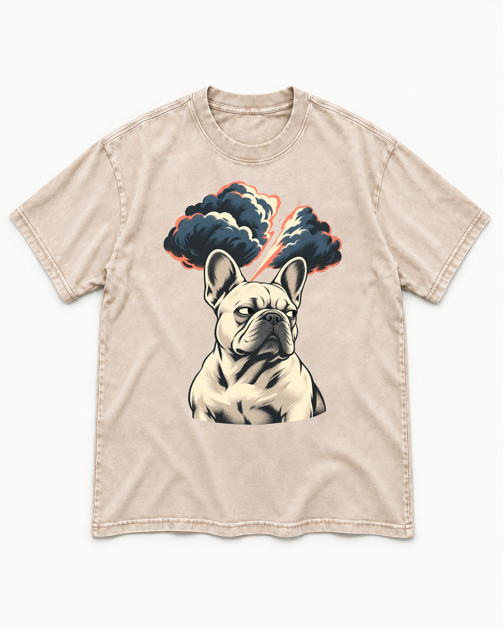 Frenchie Storm Warning Washed Tee in Apricot, flat lay product photo
