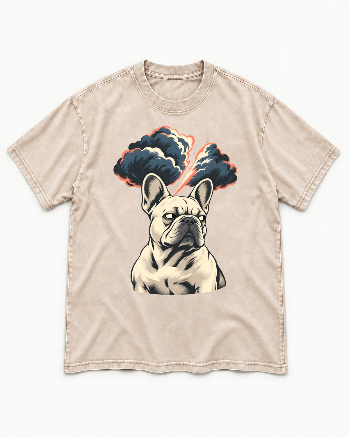 Frenchie Storm Warning Washed Tee in Apricot, flat lay product photo