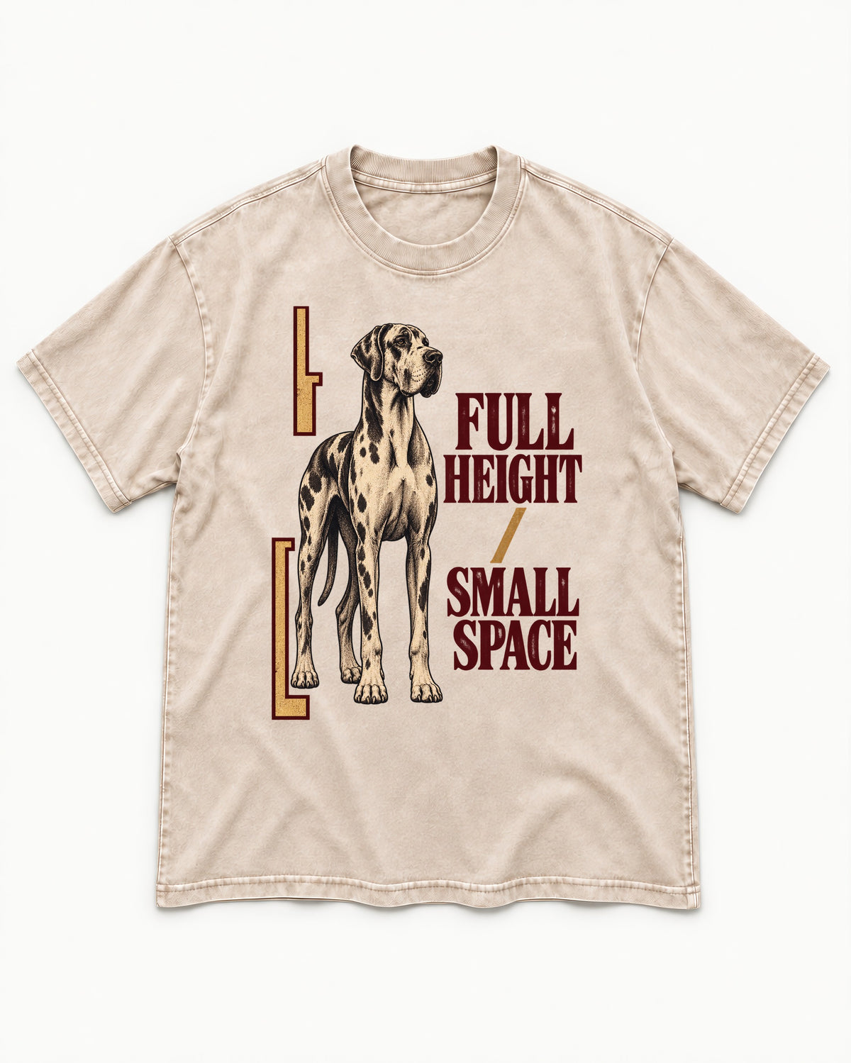 Great Dane Full Height Small Space Washed Tee in Apricot, flat lay product photo