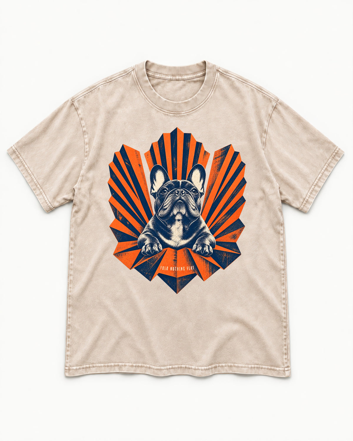 Frenchie Fold Nothing Flat Geometric Fan Graphic Washed Tee in Apricot, flat lay product photo