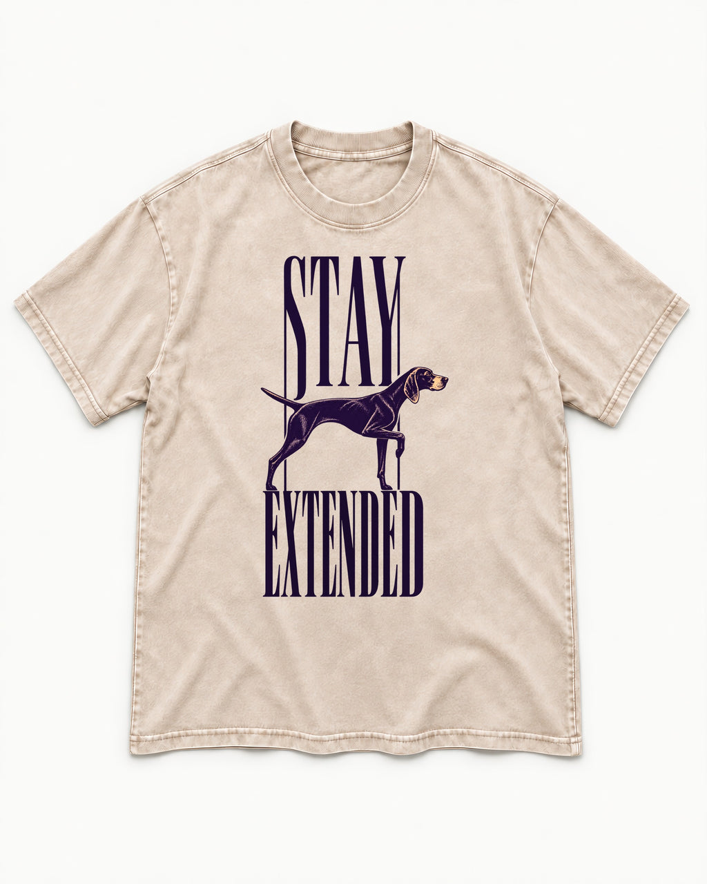 Stay Extended German Shorthaired Pointer Washed Tee in Apricot, flat lay product photo
