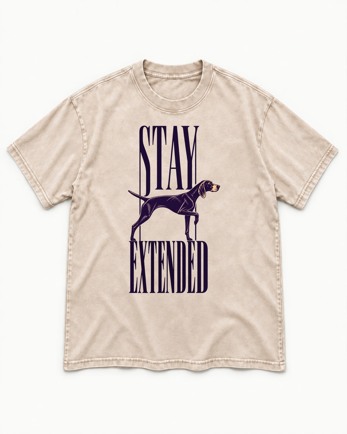 Stay Extended German Shorthaired Pointer Washed Tee in Apricot, flat lay product photo