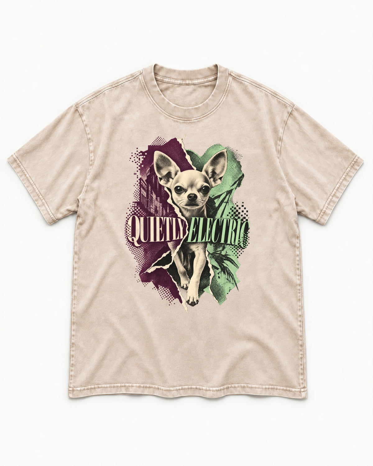 Chihuahua Quietly Electric Washed Tee in Apricot, flat lay product photo