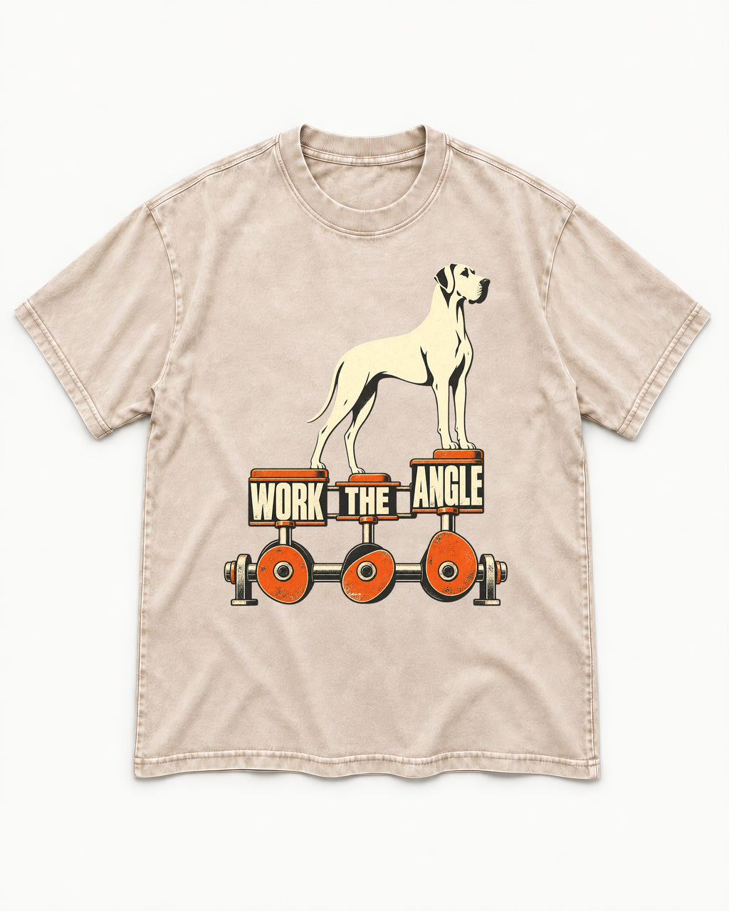 Great Dane Work the Angle Washed Tee in Apricot, flat lay product photo