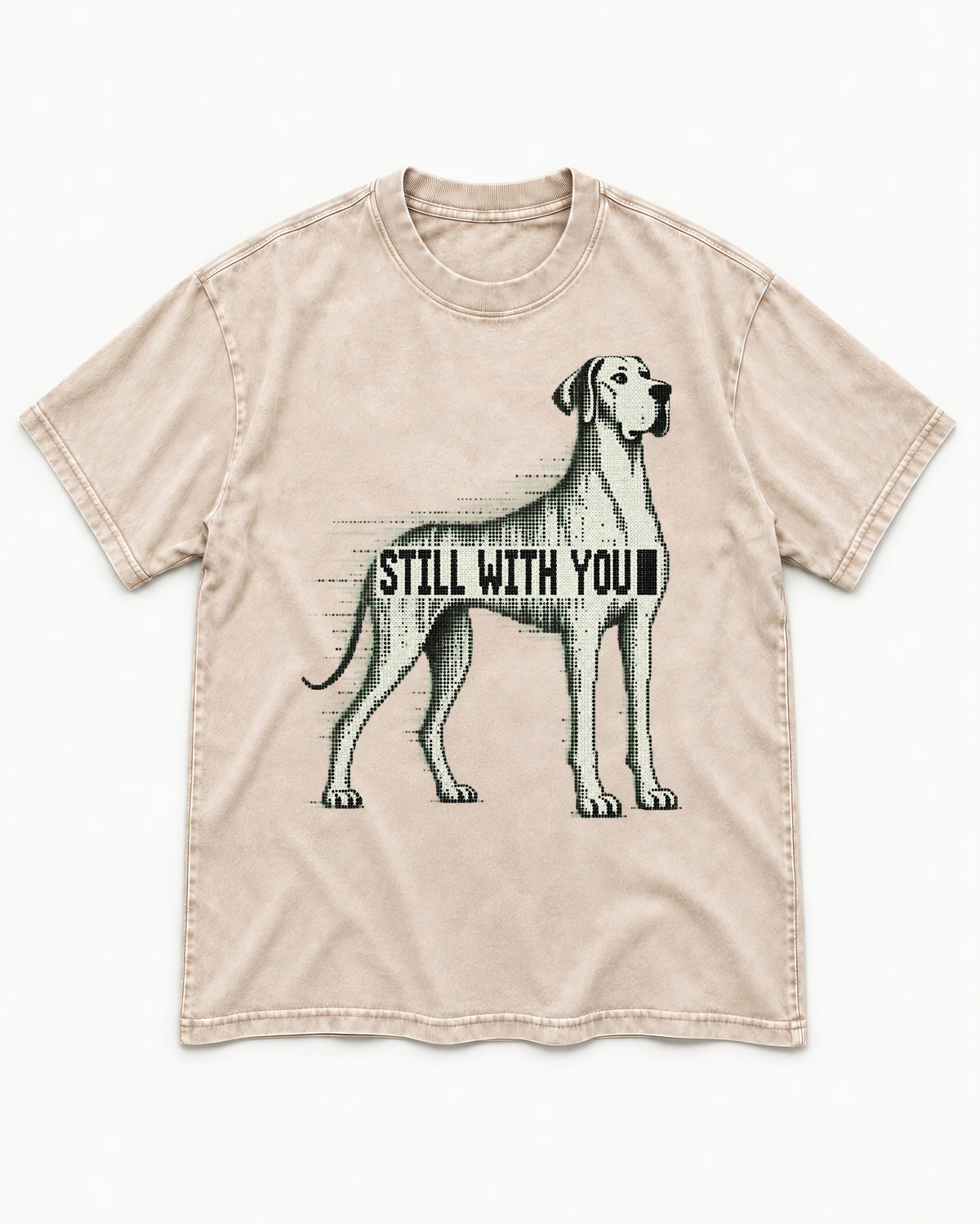 Still with You Great Dane Washed Tee in Apricot, flat lay product photo