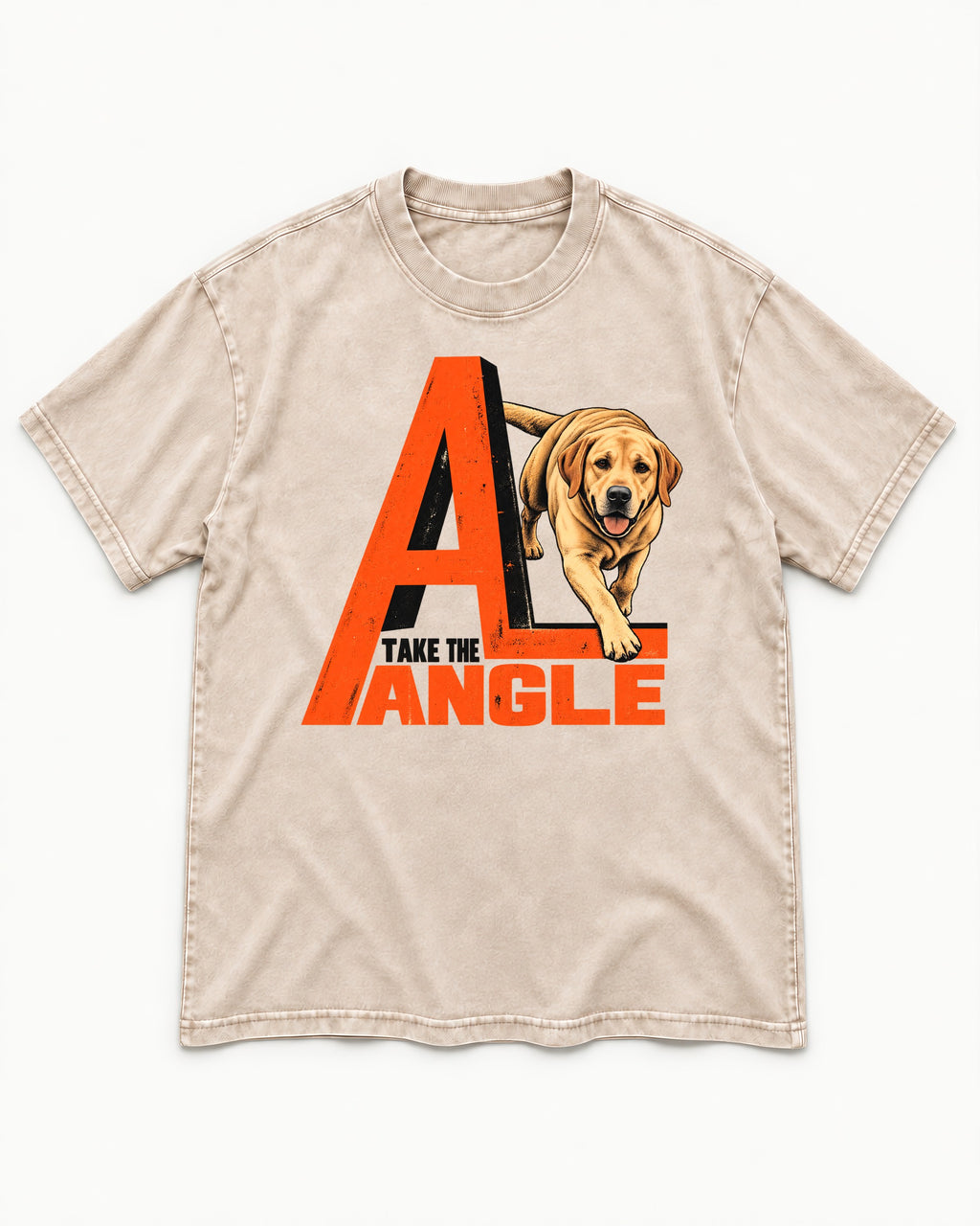 Take the Angle Labrador Retriever Washed Tee in Apricot, flat lay product photo