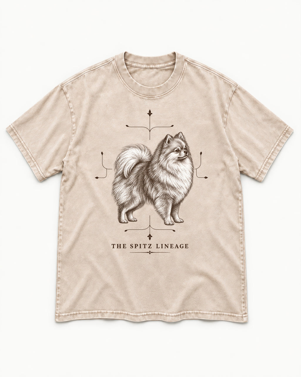Pomeranian Spitz Lineage Washed Tee in Apricot, flat lay product photo
