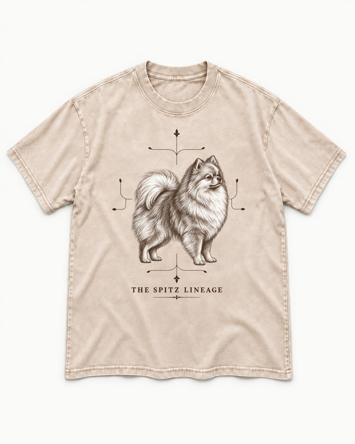 Pomeranian Spitz Lineage Washed Tee in Apricot, flat lay product photo