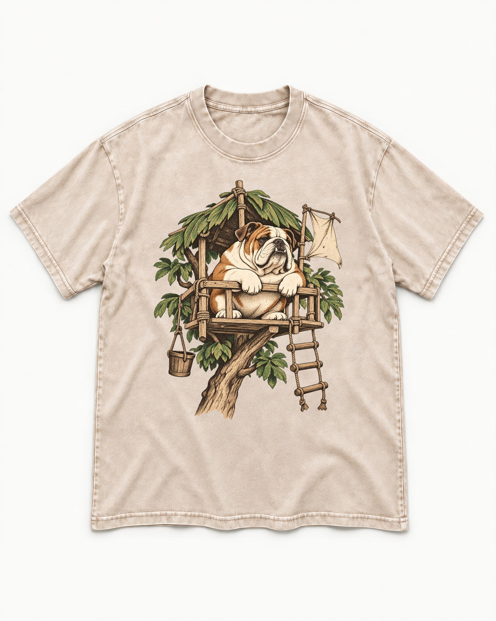 English Bulldog Above It All Washed Tee in Apricot, flat lay product photo