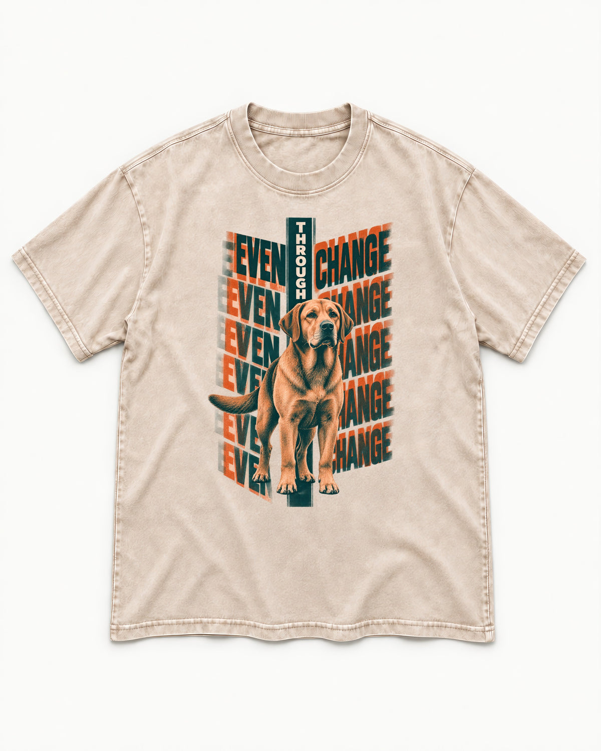 Labrador Retriever Even Through Change Repeated Poster Graphic Washed Tee in Apricot, flat lay product photo