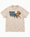 One Good Frenchie Interruption Washed Tee in Apricot, flat lay product photo