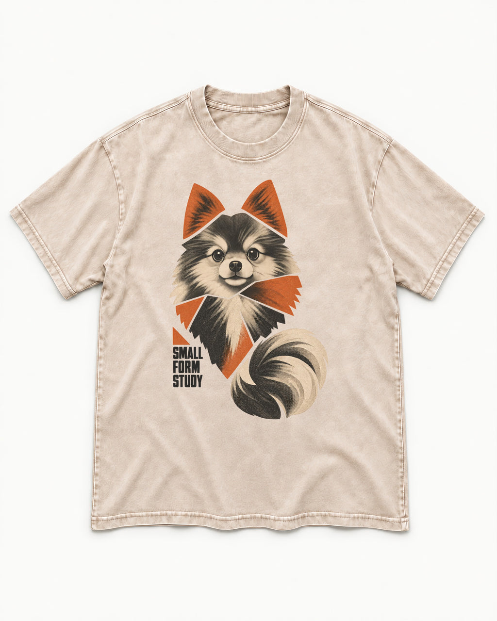 Pomeranian Small Form Study Washed Tee in Apricot, flat lay product photo