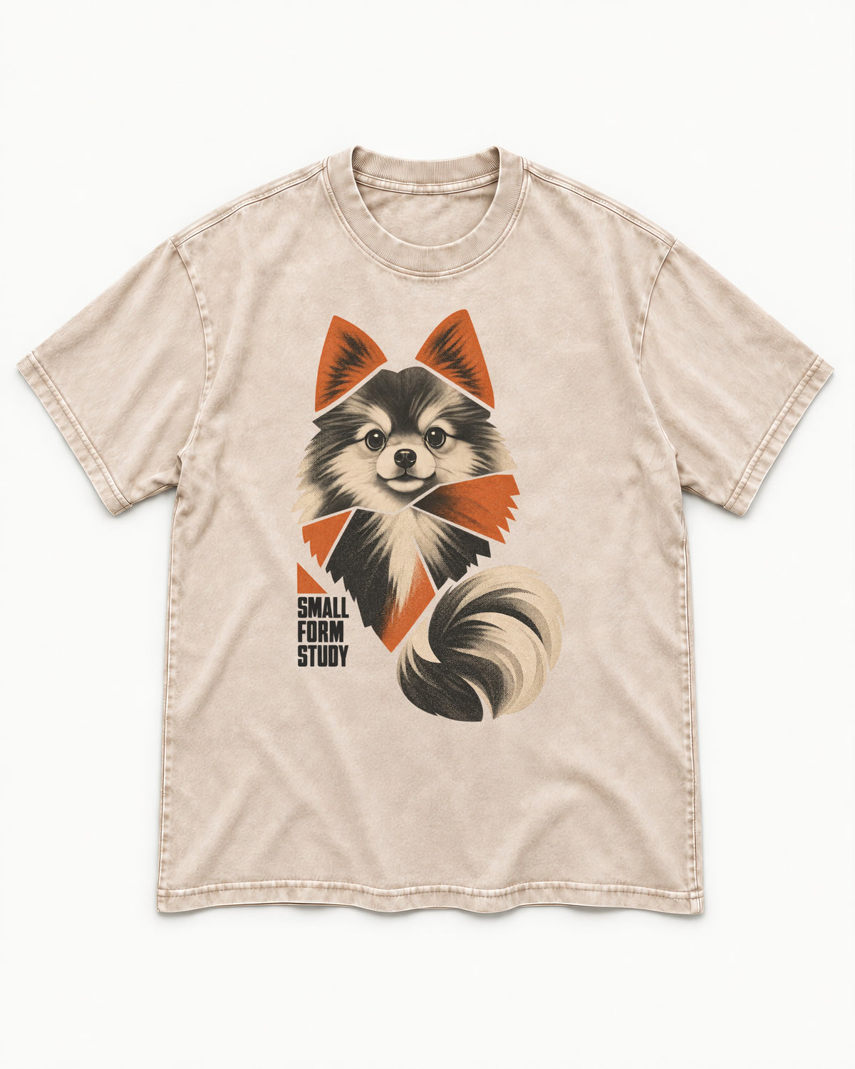 Pomeranian Small Form Study Washed Tee in Apricot, flat lay product photo