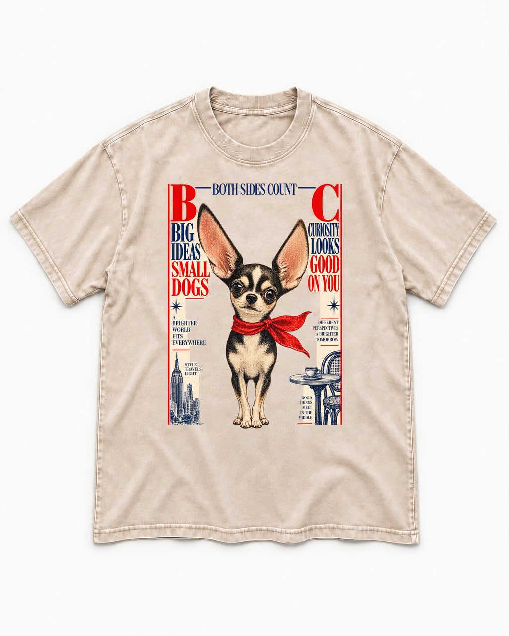 Chihuahua Big Ideas Washed Tee in Apricot, flat lay product photo