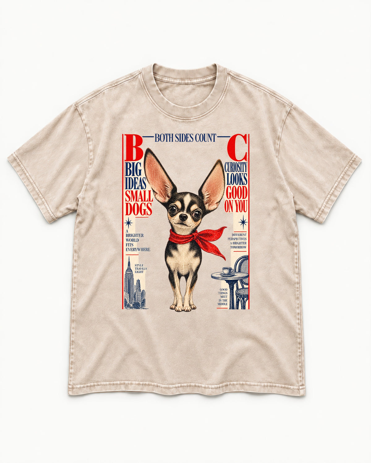 Chihuahua Big Ideas Washed Tee in Apricot, flat lay product photo