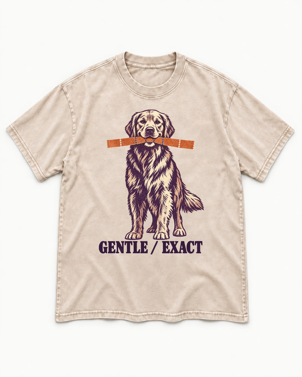 Golden Retriever Gentle Exact Paper Bridge Graphic Washed Tee in Apricot, flat lay product photo
