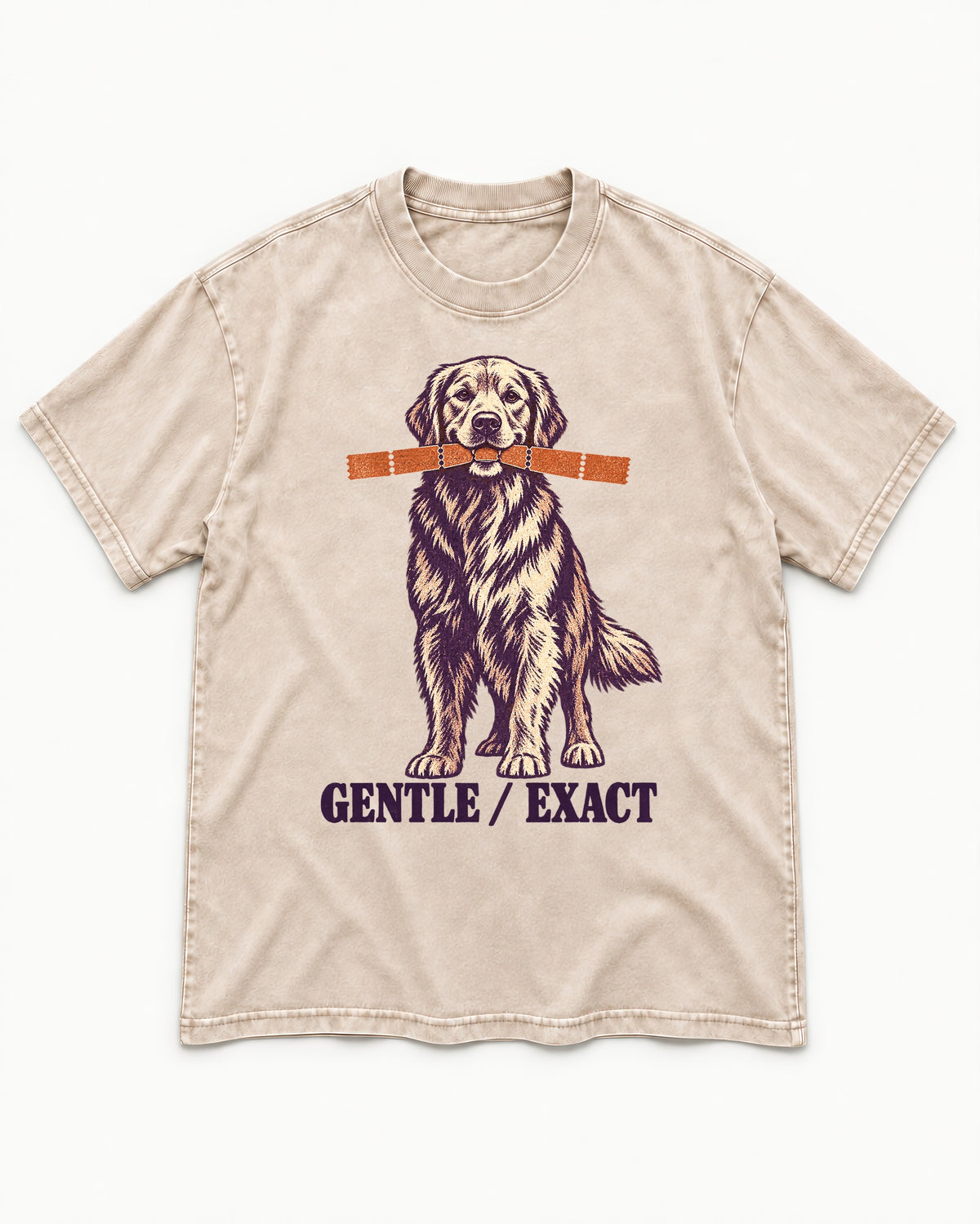Golden Retriever Gentle Exact Paper Bridge Graphic Washed Tee in Apricot, flat lay product photo