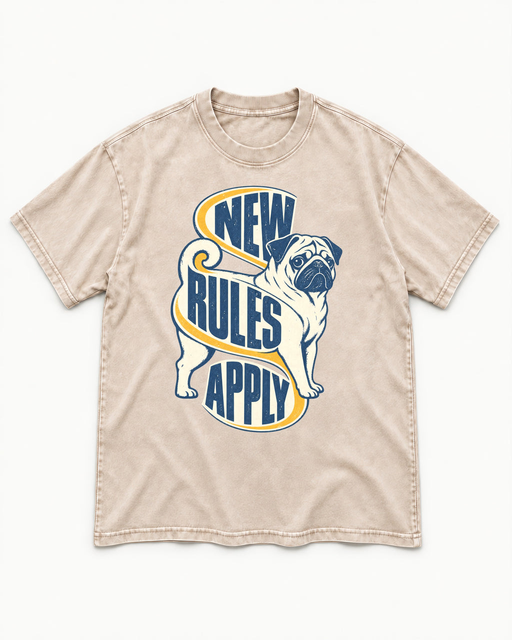 Pug New Rules Apply Ribbon Graphic Washed Tee in Apricot, flat lay product photo