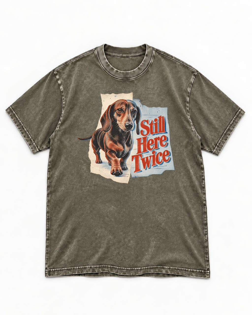 Dachshund Still Here Twice Torn Paper Graphic Washed Tee in Army Green, flat lay product photo