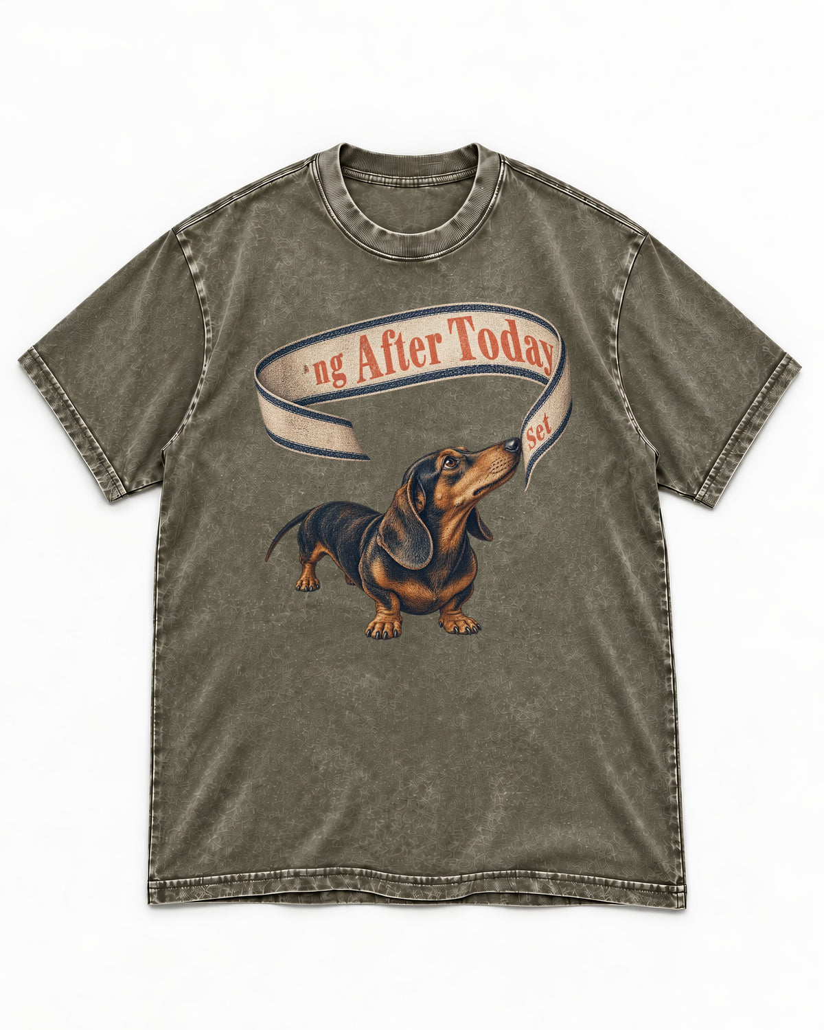 Dachshund ng After Today Set Ribbon Graphic Washed Tee in Army Green, flat lay product photo