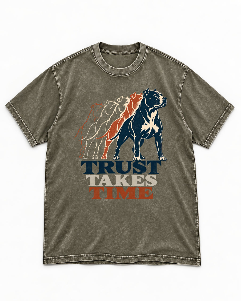 Pitbull Trust Takes Time Progression Graphic Washed Tee in Army Green, flat lay product photo