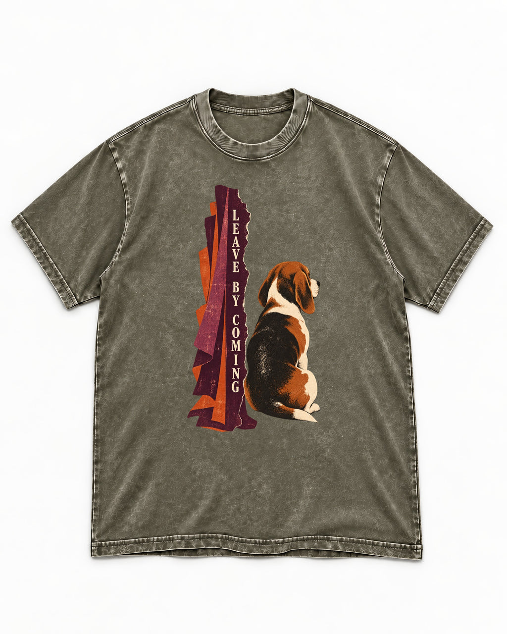 Leave By Coming Beagle Companion Washed Tee in Army Green, flat lay product photo