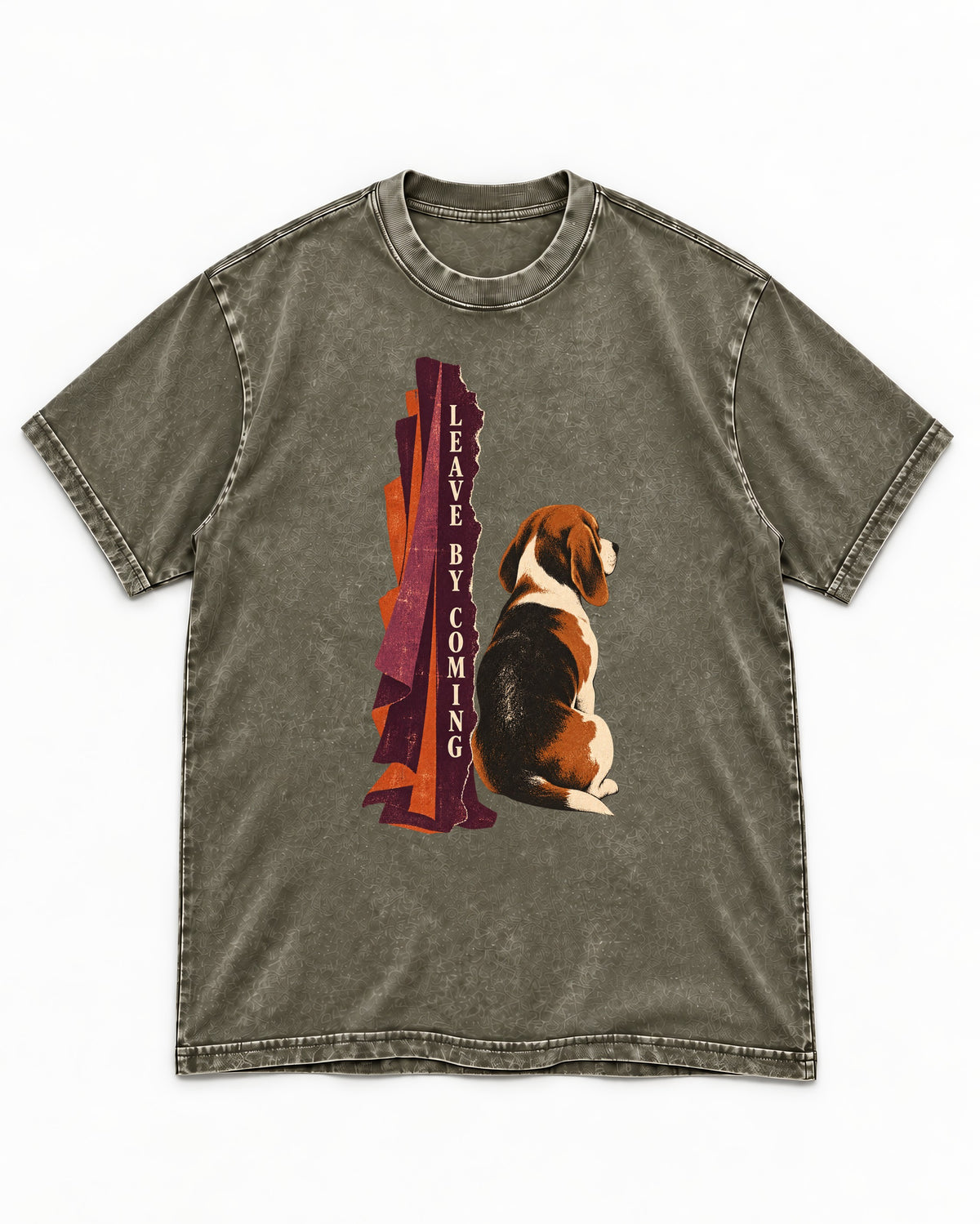Leave By Coming Beagle Companion Washed Tee in Army Green, flat lay product photo