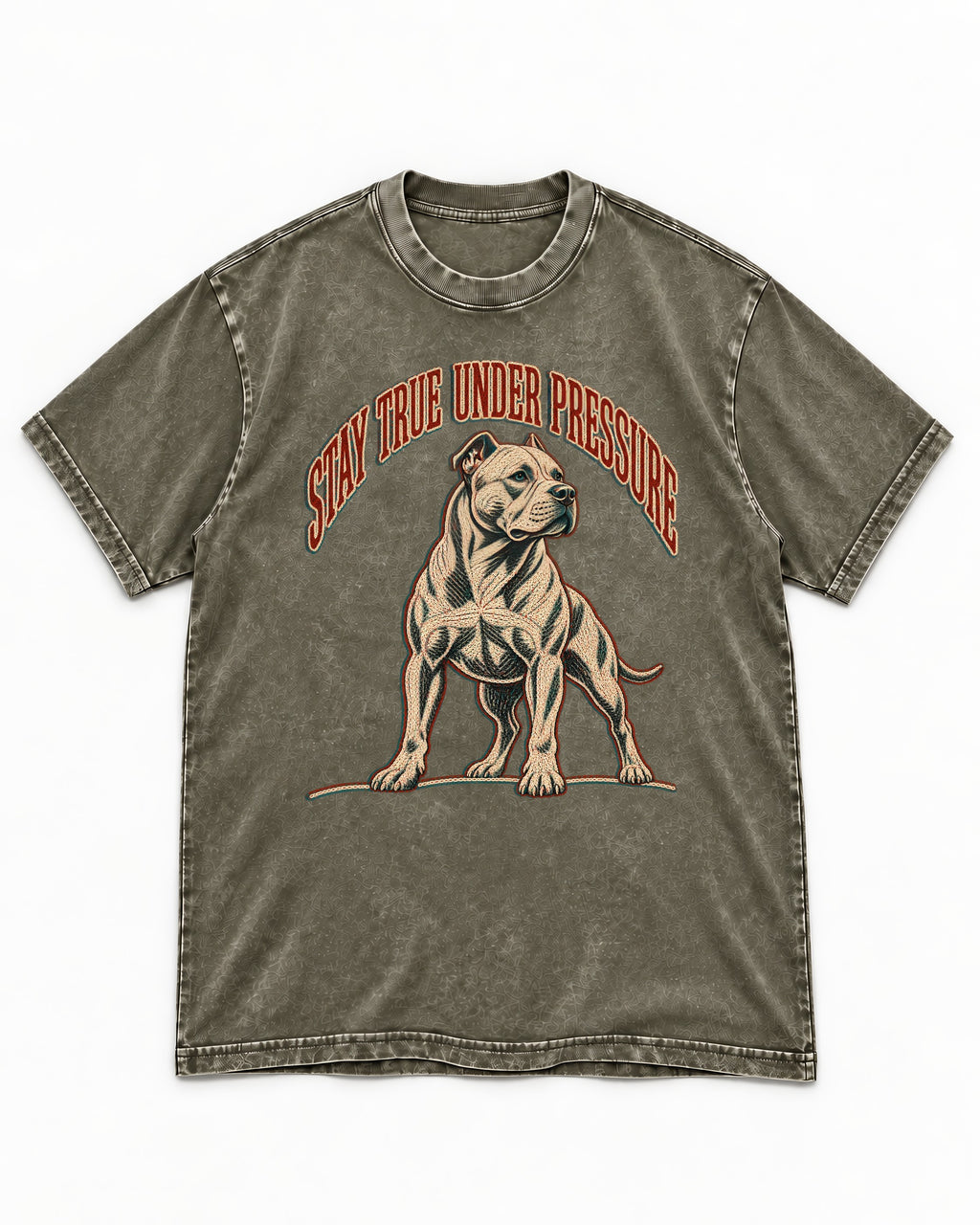 Pitbull Stay True Under Pressure Stance Graphic Washed Tee in Army Green, flat lay product photo